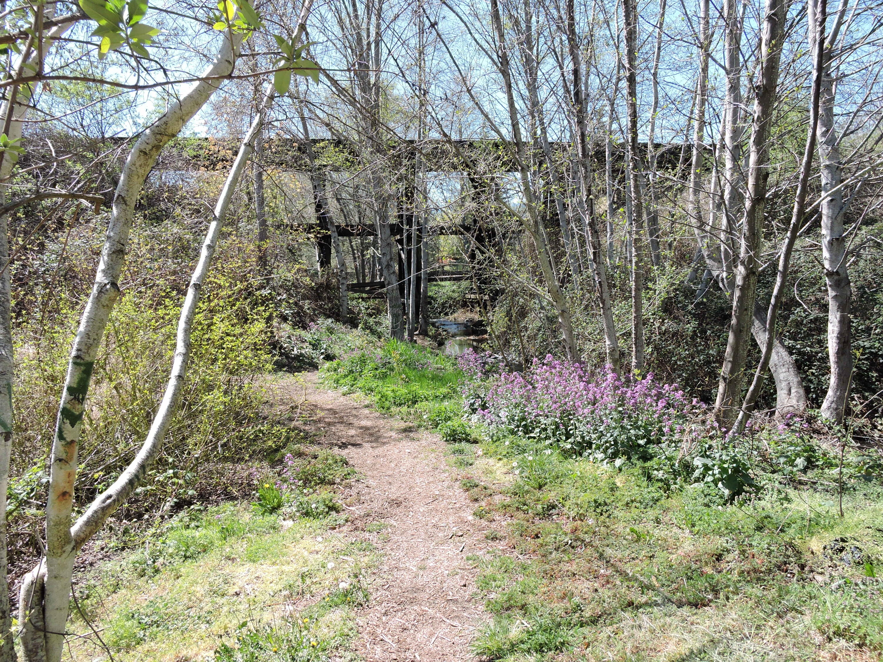 Spruce Landing Subdivision - Residential