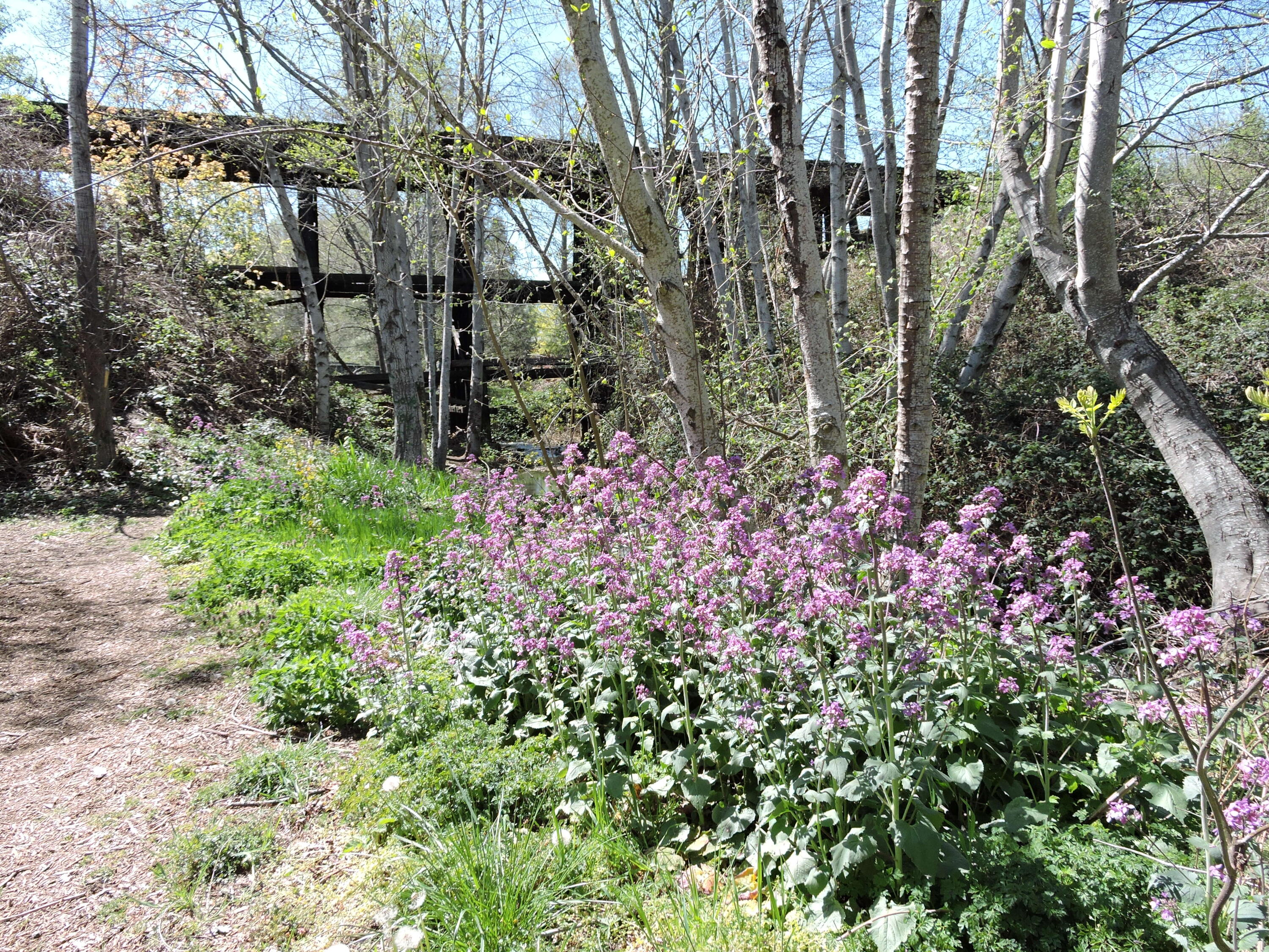 Spruce Landing Subdivision - Residential