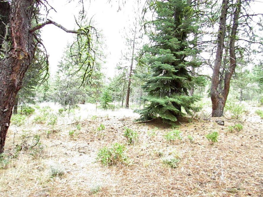 Klamath Forest Estates - Land