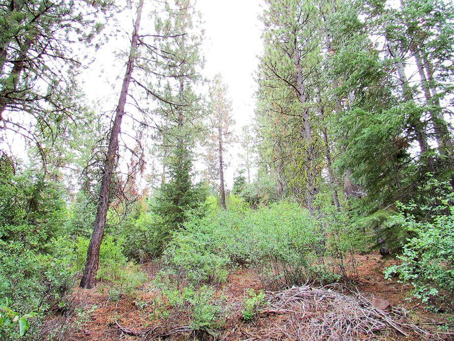 Klamath Forest Estates - Land