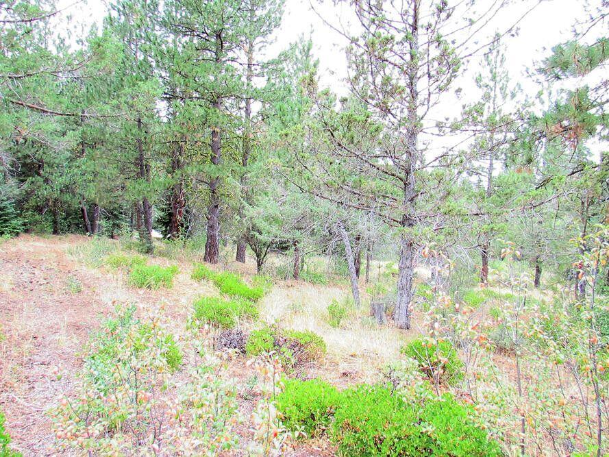 Klamath Forest Estates - Land