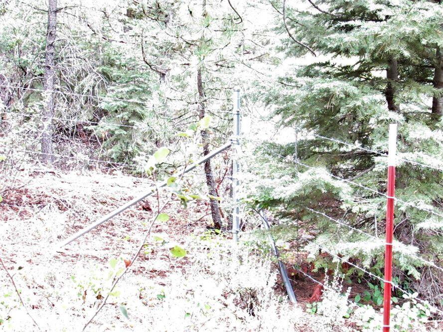 Klamath Forest Estates - Land