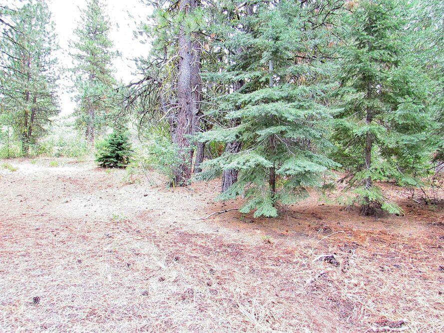 Klamath Forest Estates - Land