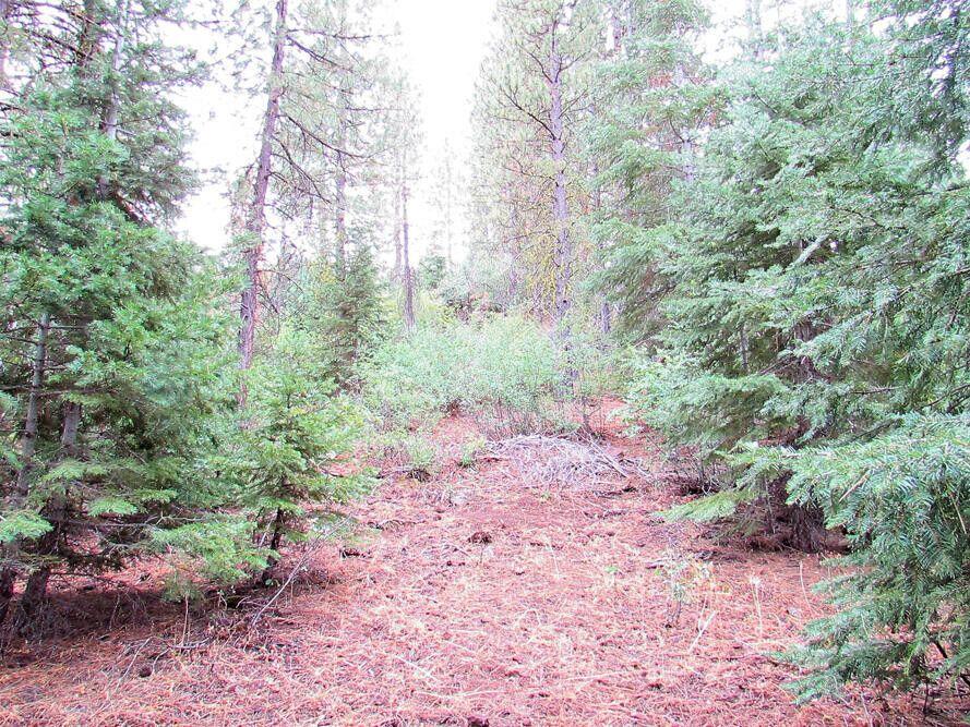 Klamath Forest Estates - Land