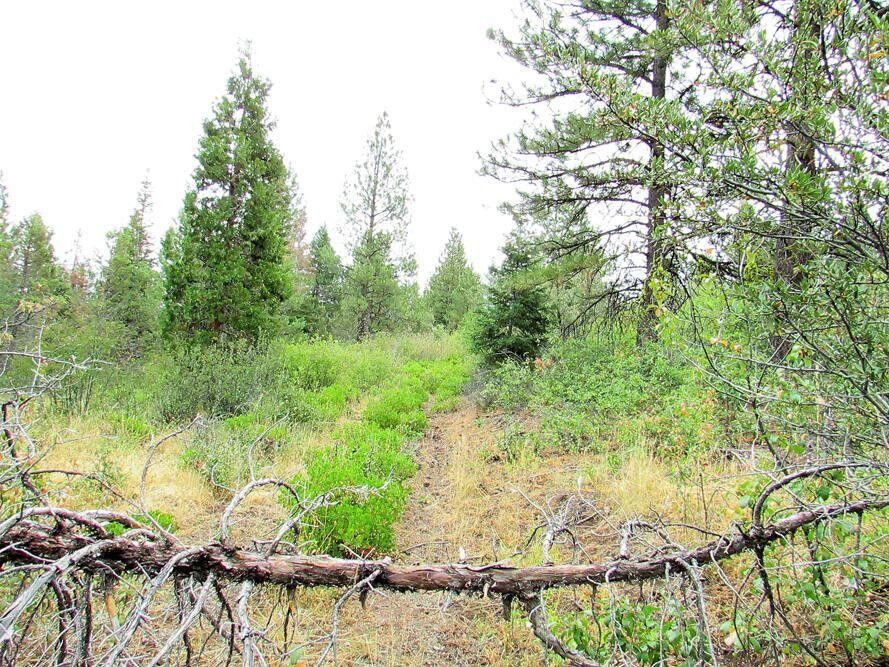 Klamath Forest Estates - Land