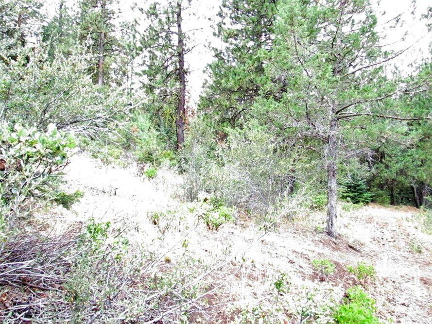 Klamath Forest Estates - Land