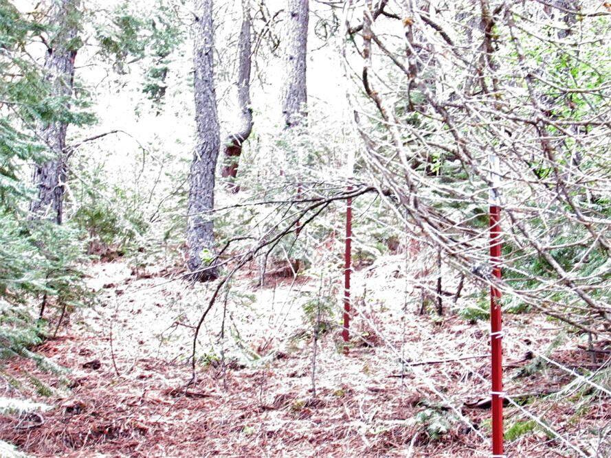 Klamath Forest Estates - Land