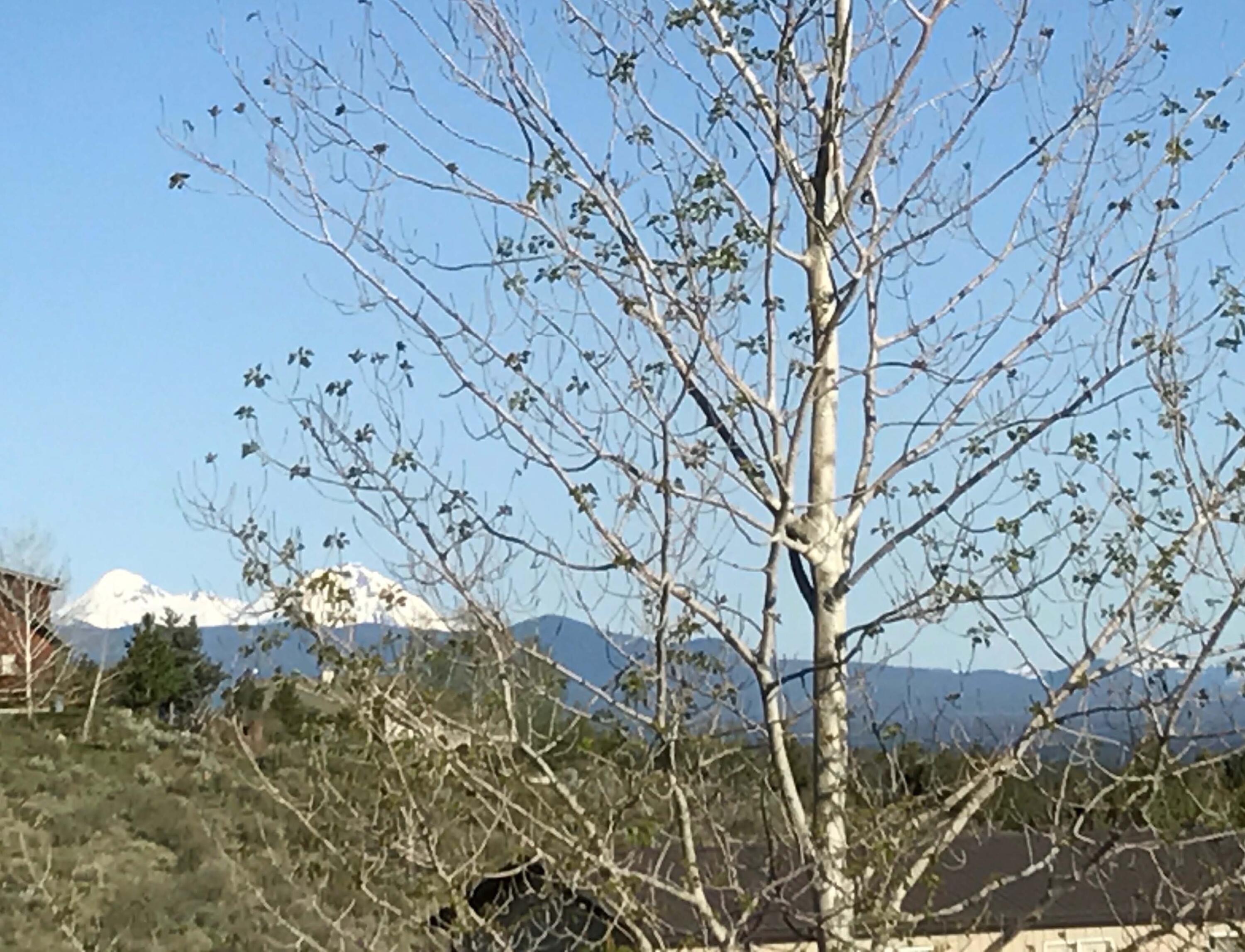 Sundance East - Residential