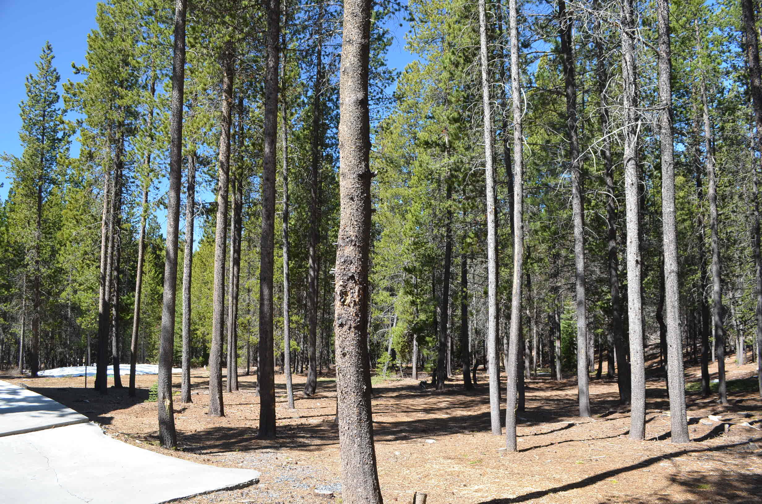 Leisure Woods - Residential