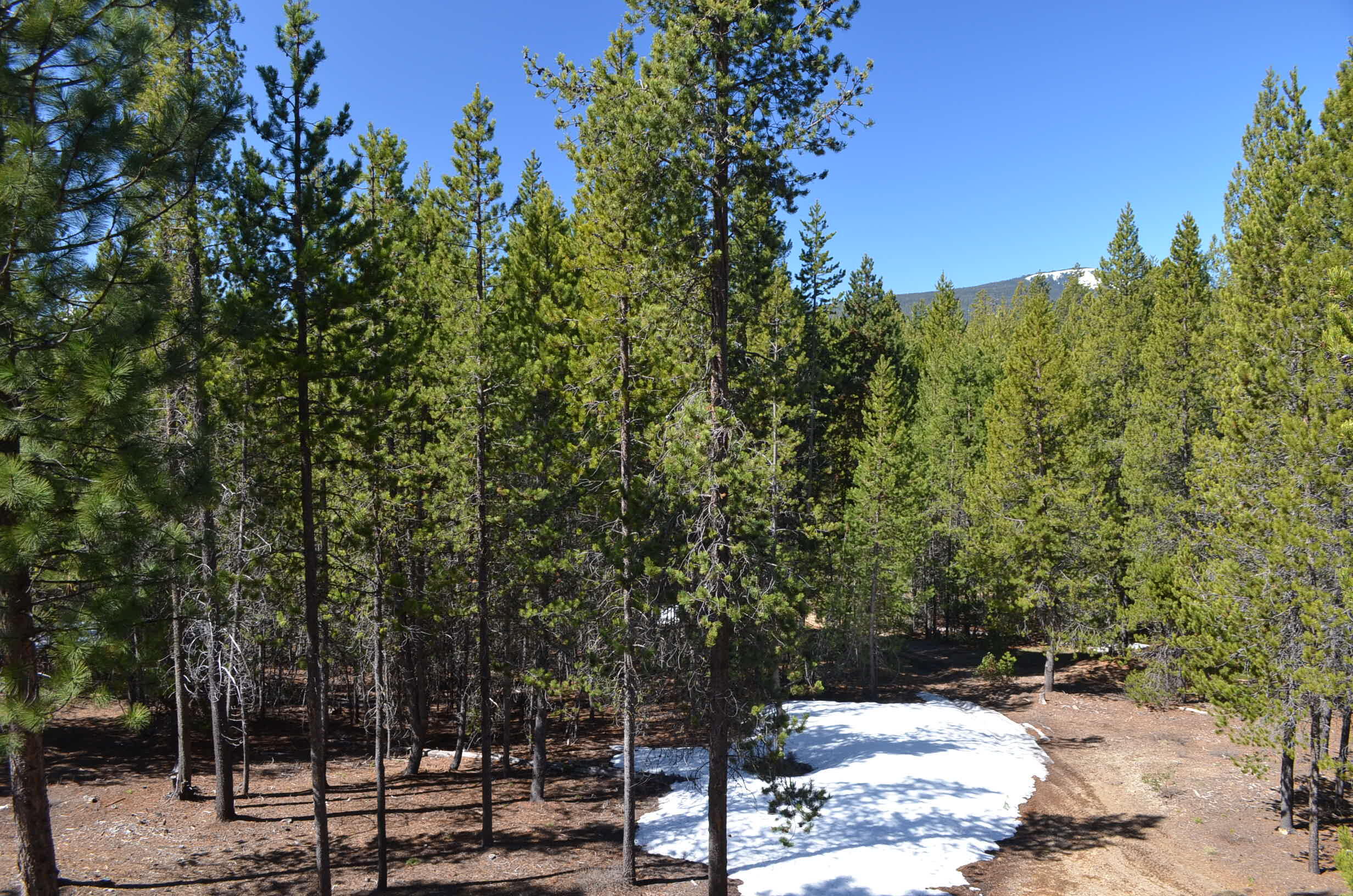 Leisure Woods - Residential