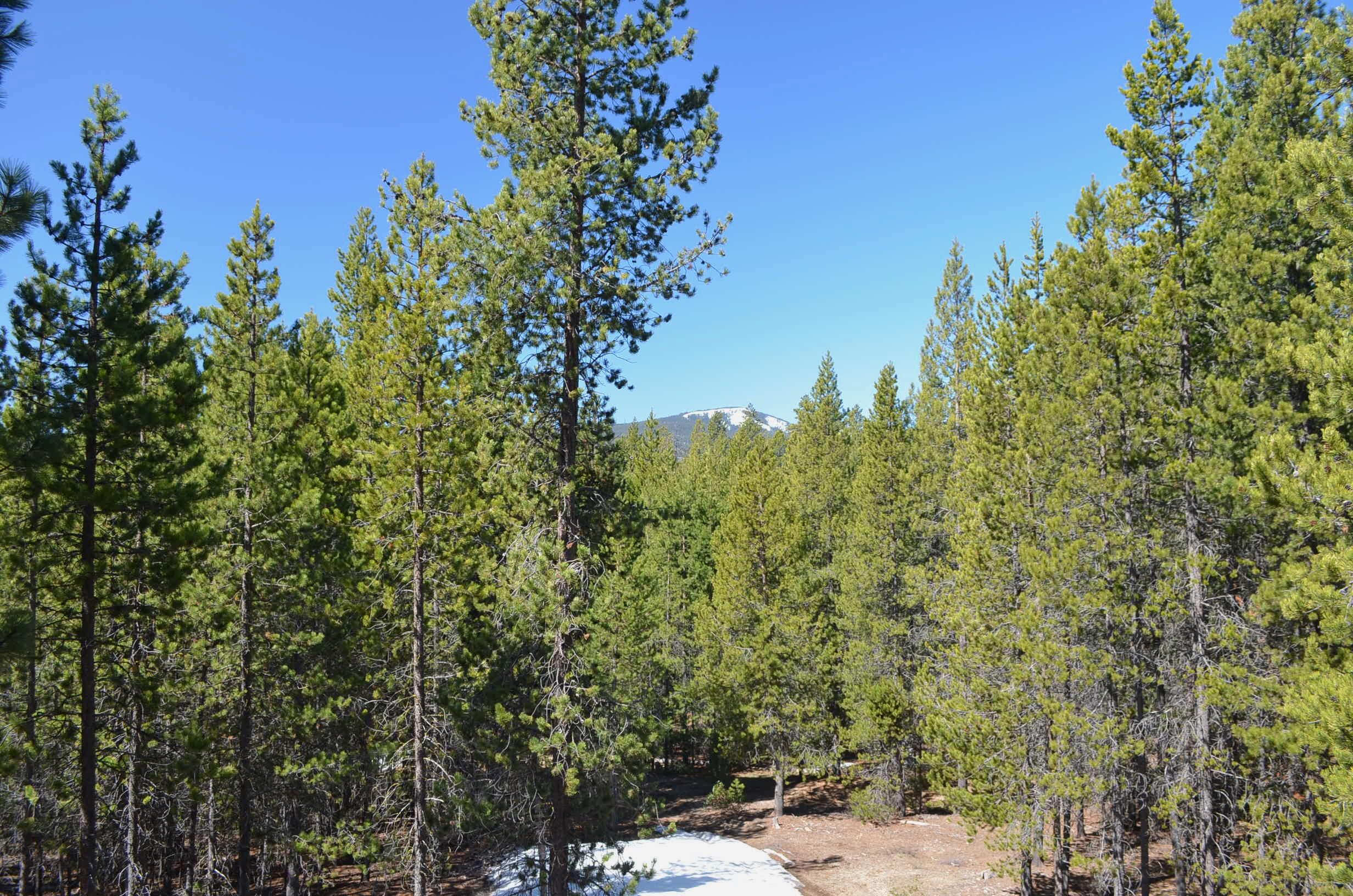 Leisure Woods - Residential