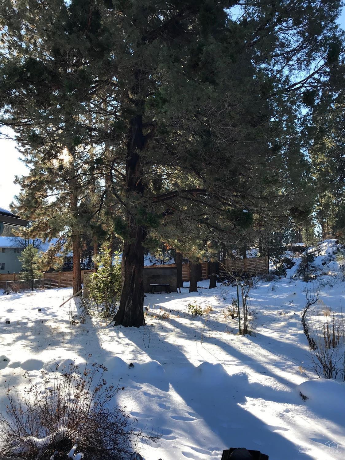 Homestead - Residential