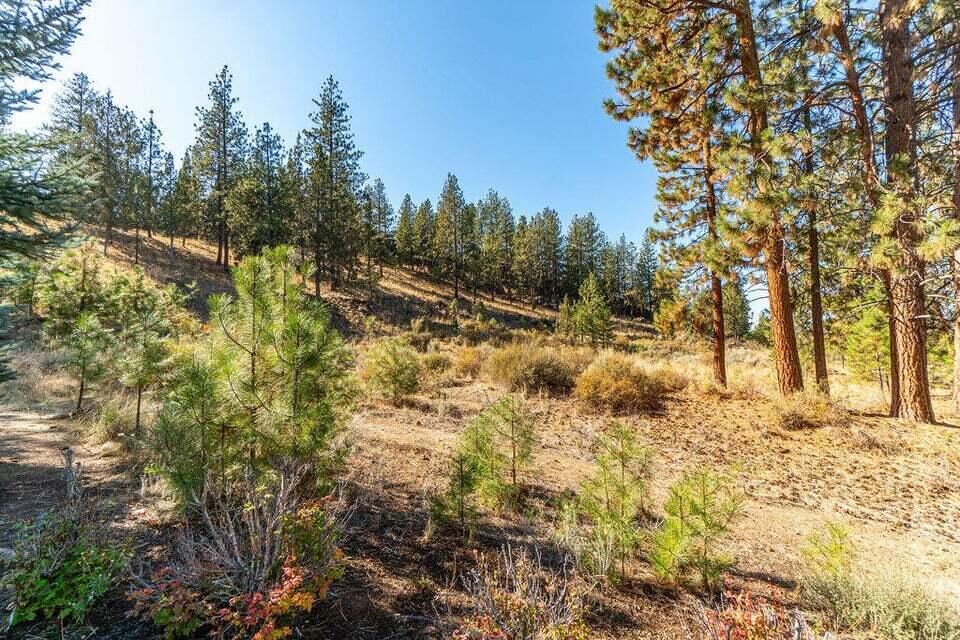 Skyliner Summit - Residential