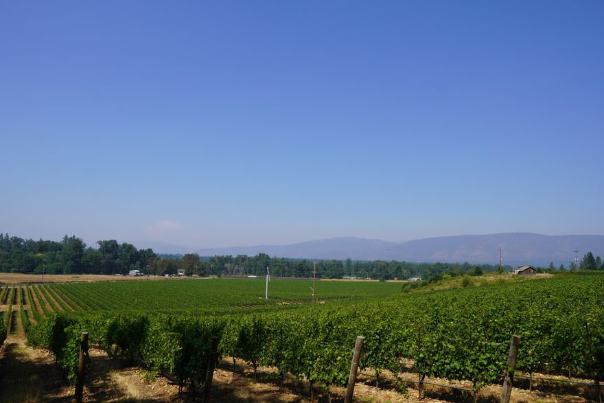 33+ vine acres situated on 49.57 deeded acres in the wine country of the Illinois Valley. Varietals include 30.9 acres Pinot Noir & 2.42 Pinot Blanc primarily planted in 2014/15 with the last block in 2019. This vineyard features a combination of excellent soil, topography, and superior farming techniques with production of over 190 tons annually. 2 senior water rights certificates allow for 77 acre feet of water to be diverted from Sucker Creek. The pump, pipelines & infrastructure support a full rate and delivery of water rights. The property has one of the earliest water right point of diversions relative to the head of Sucker Creek and historically been the most reliable water resource in the valley. Fully fenced, multiple wind machines for frost protection and 2 bulges for water storage. Manu. home secures a homesite for future estate home or tasting room opportunity. All information provided is deemed reliable, but is not guaranteed and should be independently verified.