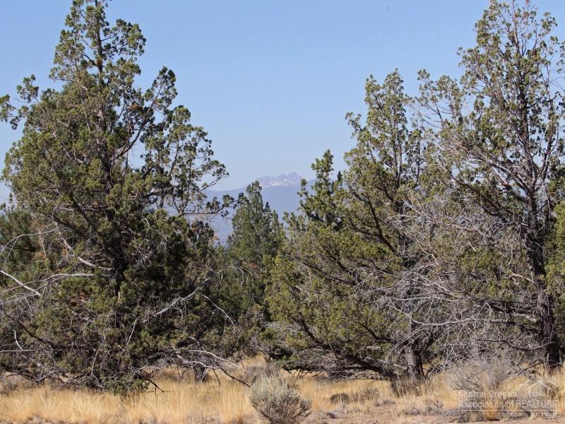 Pacific Cascade Hts - Land