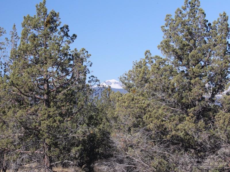 Pacific Cascade Hts - Land