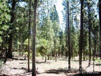 Little River Ranch - Land