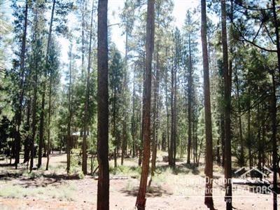 Little River Ranch - Land