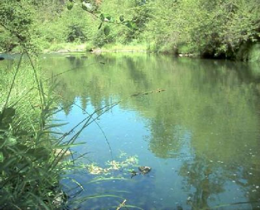 Beautiful big Butte Creek frontage. Approx. 800 ft. - 2 tax lots, septic & driveway in, power & telephone to property. Great homesite location. Survey completed. Nothing like this in the whole upper Rogue area.