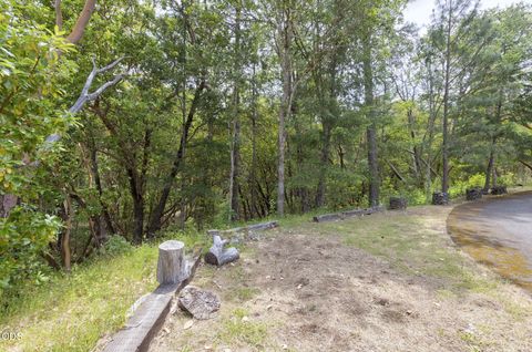 Tiny photo for 410 Schieffelin Gulch Road, Gold Hill, OR 97525 (MLS # 220223007)