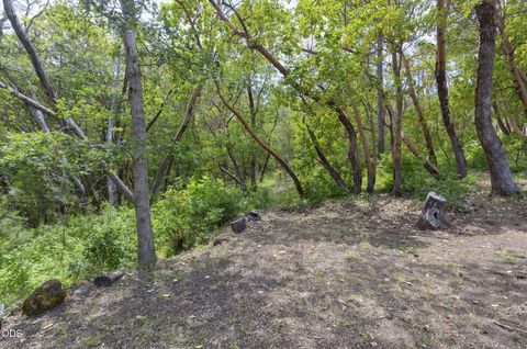 Tiny photo for 410 Schieffelin Gulch Road, Gold Hill, OR 97525 (MLS # 220223007)