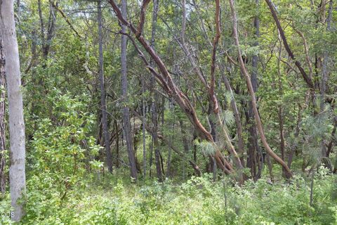 Tiny photo for 410 Schieffelin Gulch Road, Gold Hill, OR 97525 (MLS # 220223007)