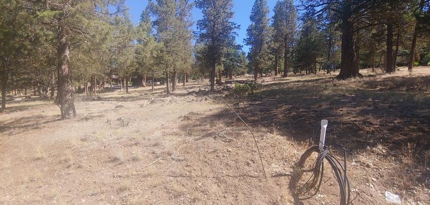 Over 1/2 acre homesite at the Running Y with peek views of the golf course. 
This home site has a nice downhill slope towards the road, enhancing the views from the upper part of the site.  Take a short walk to the golf course and spa or enjoy the putting course with true bunkers and grass. 
Buy now and build later.  The HOA includes membership in the  Sports and Fitness Center.