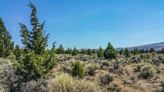 Juniper Acres - Land