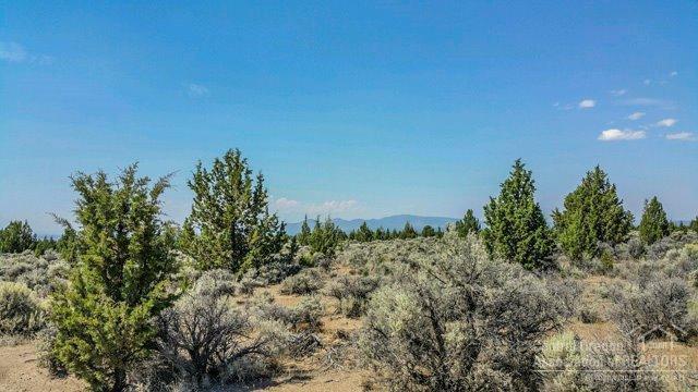 Juniper Acres - Land