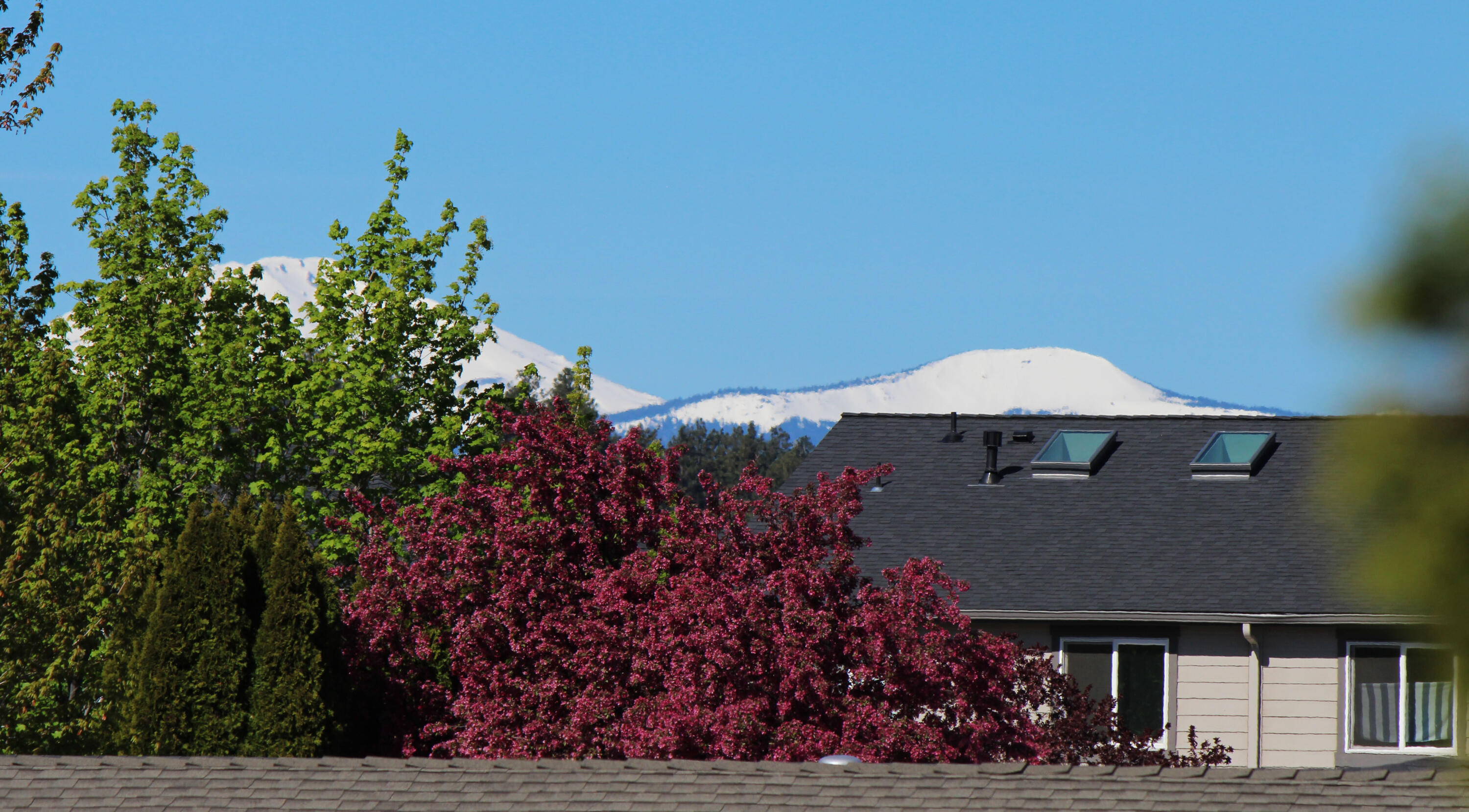 Mtn View Park - Residential