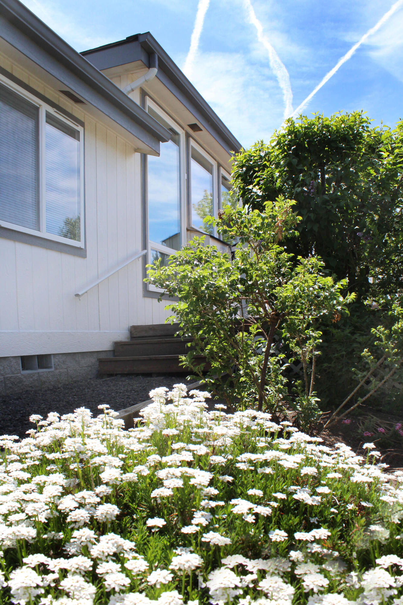 Mtn View Park - Residential