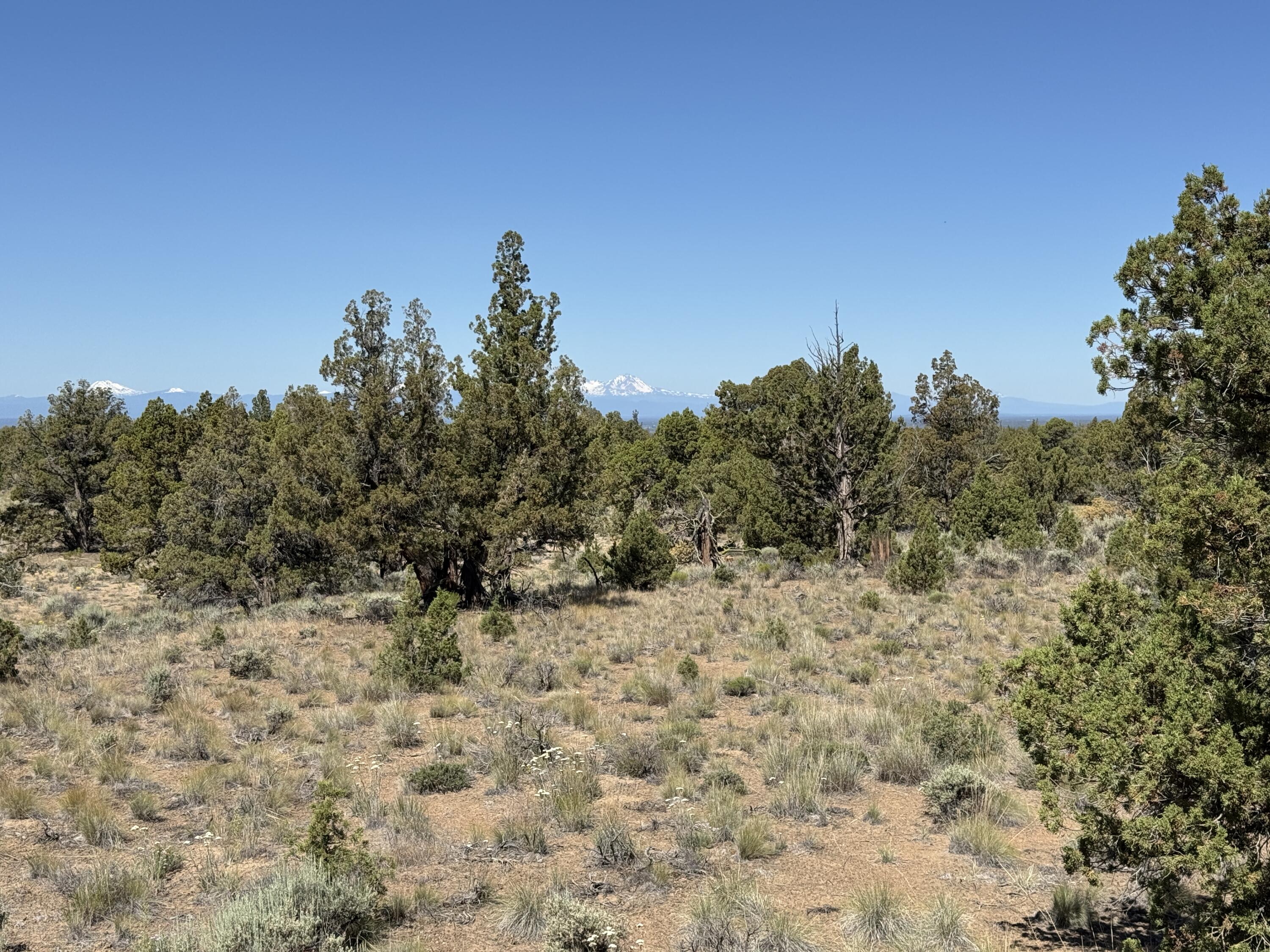 Juniper Acres - Land