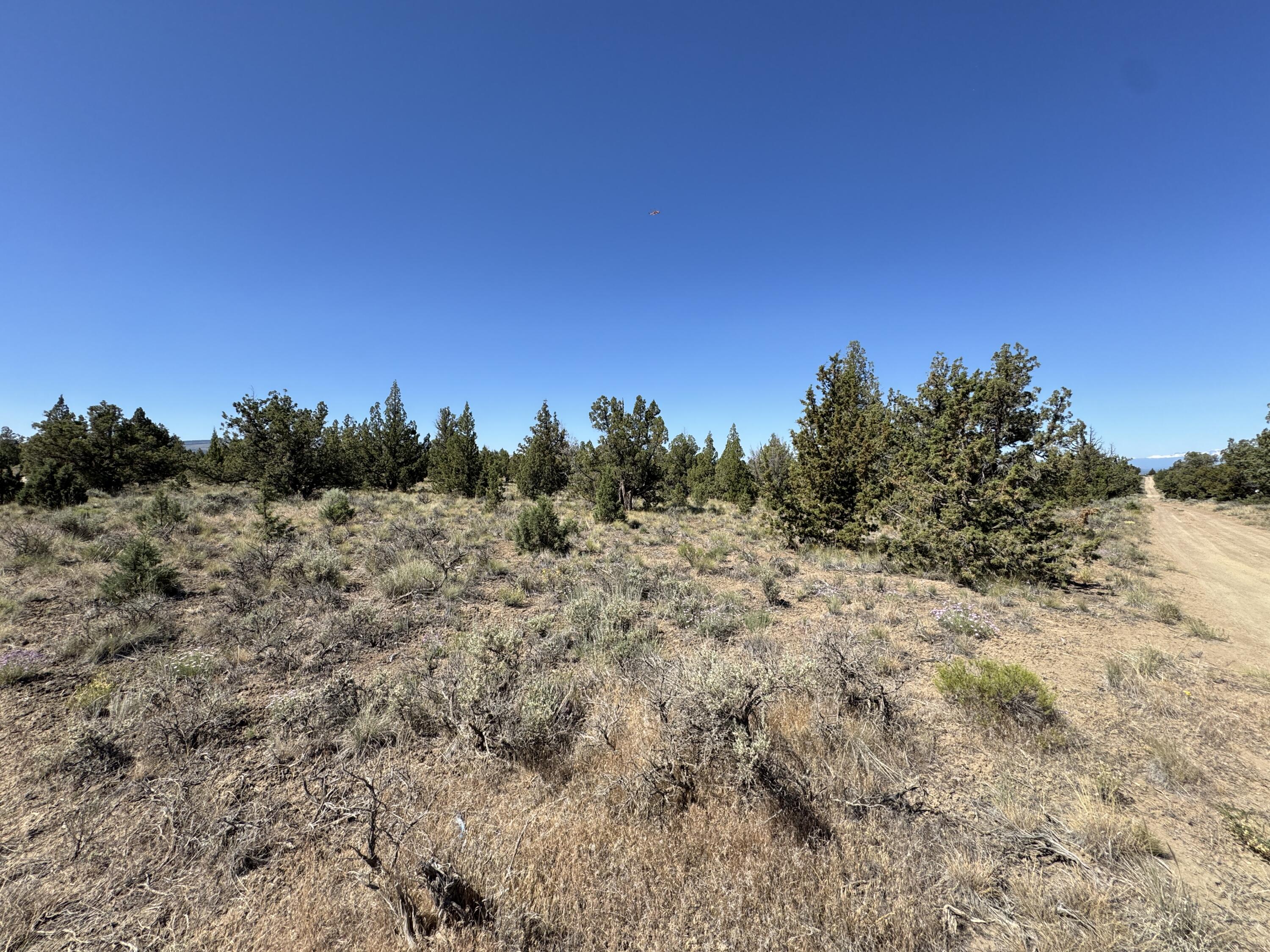 Juniper Acres - Land