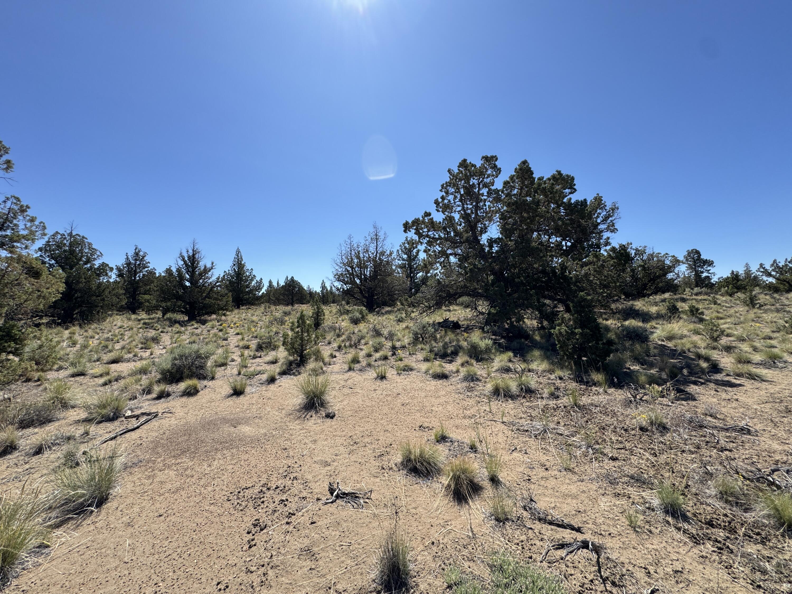 Juniper Acres - Land