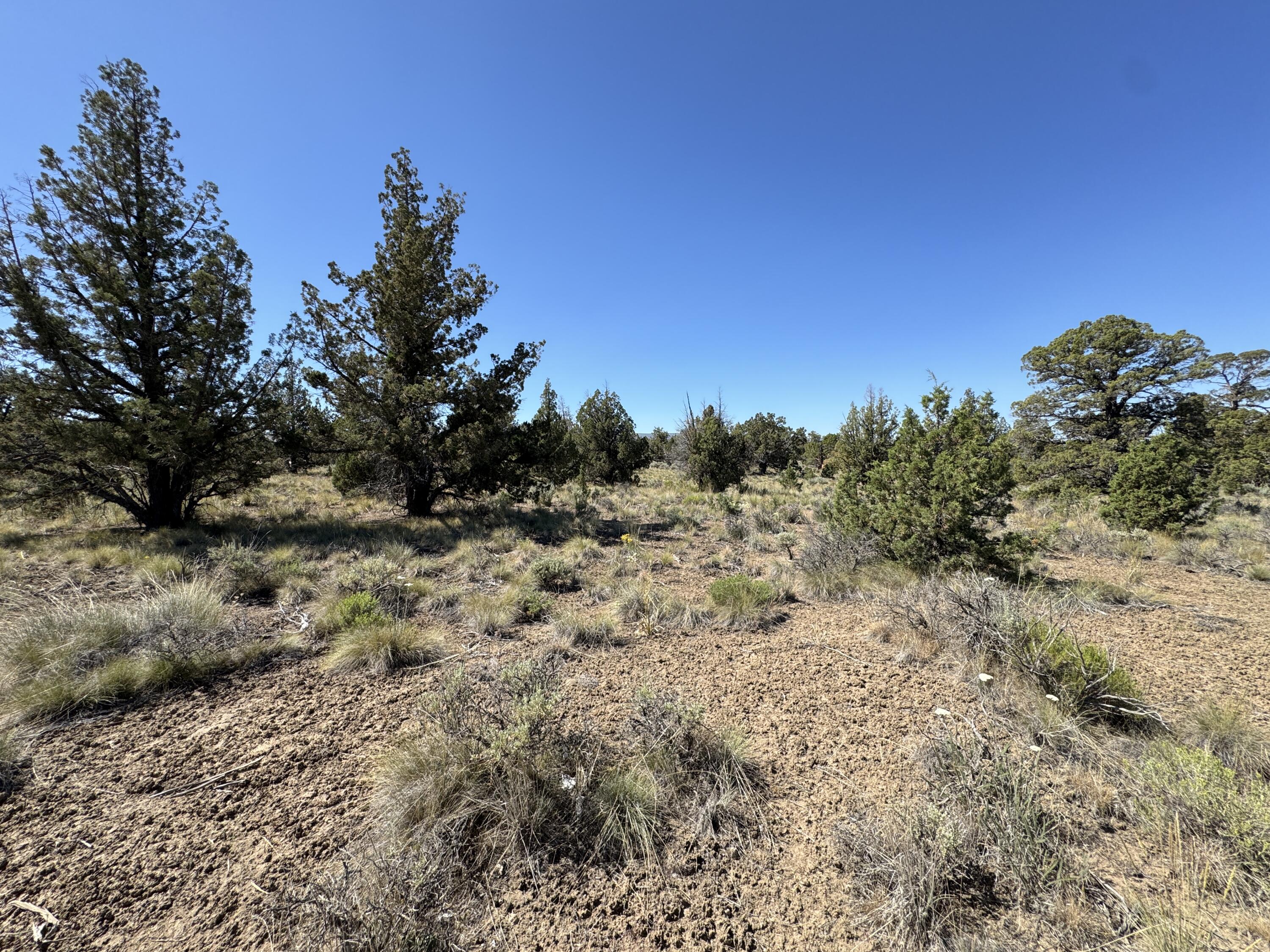 Juniper Acres - Land