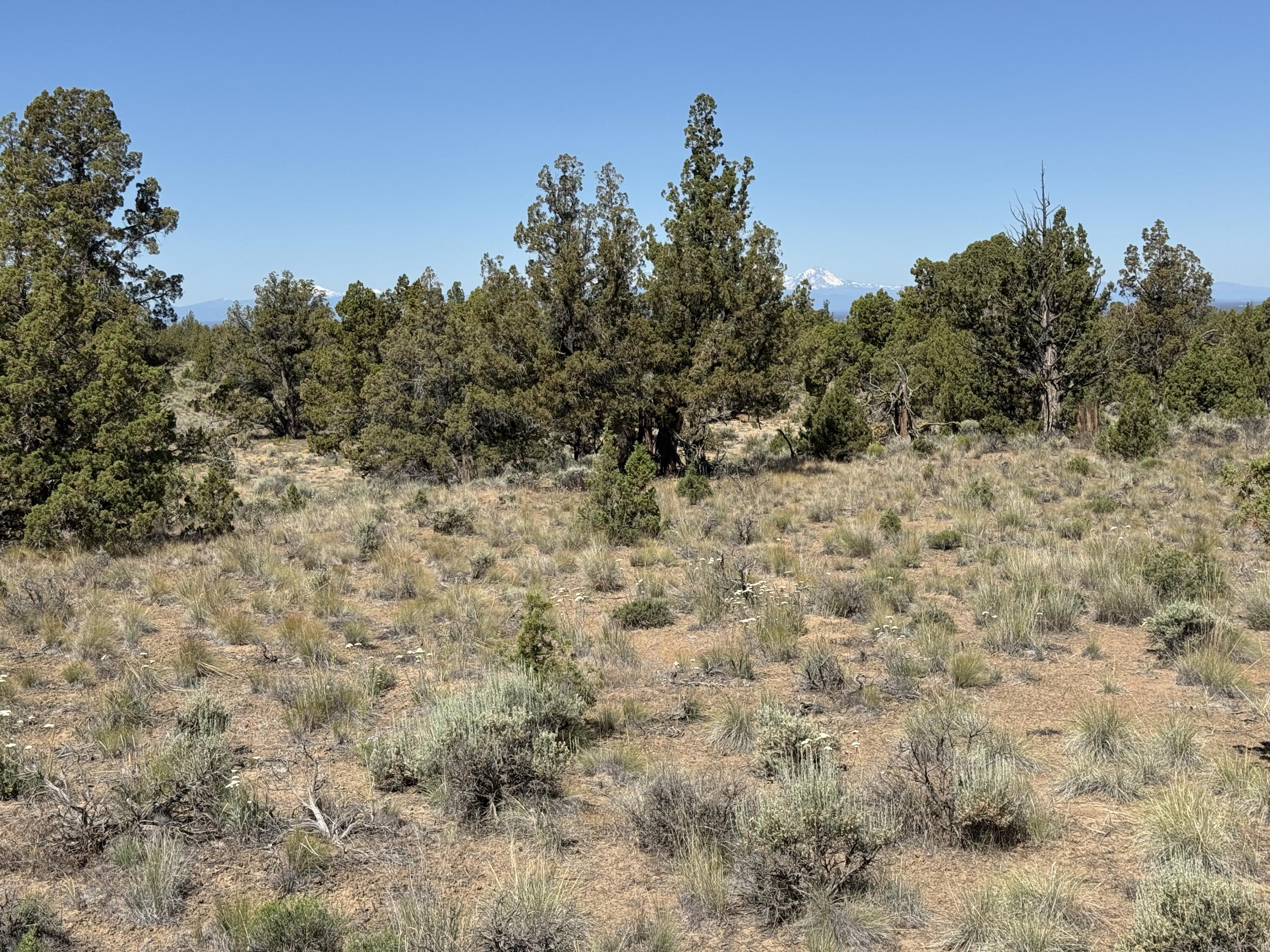 Juniper Acres - Land