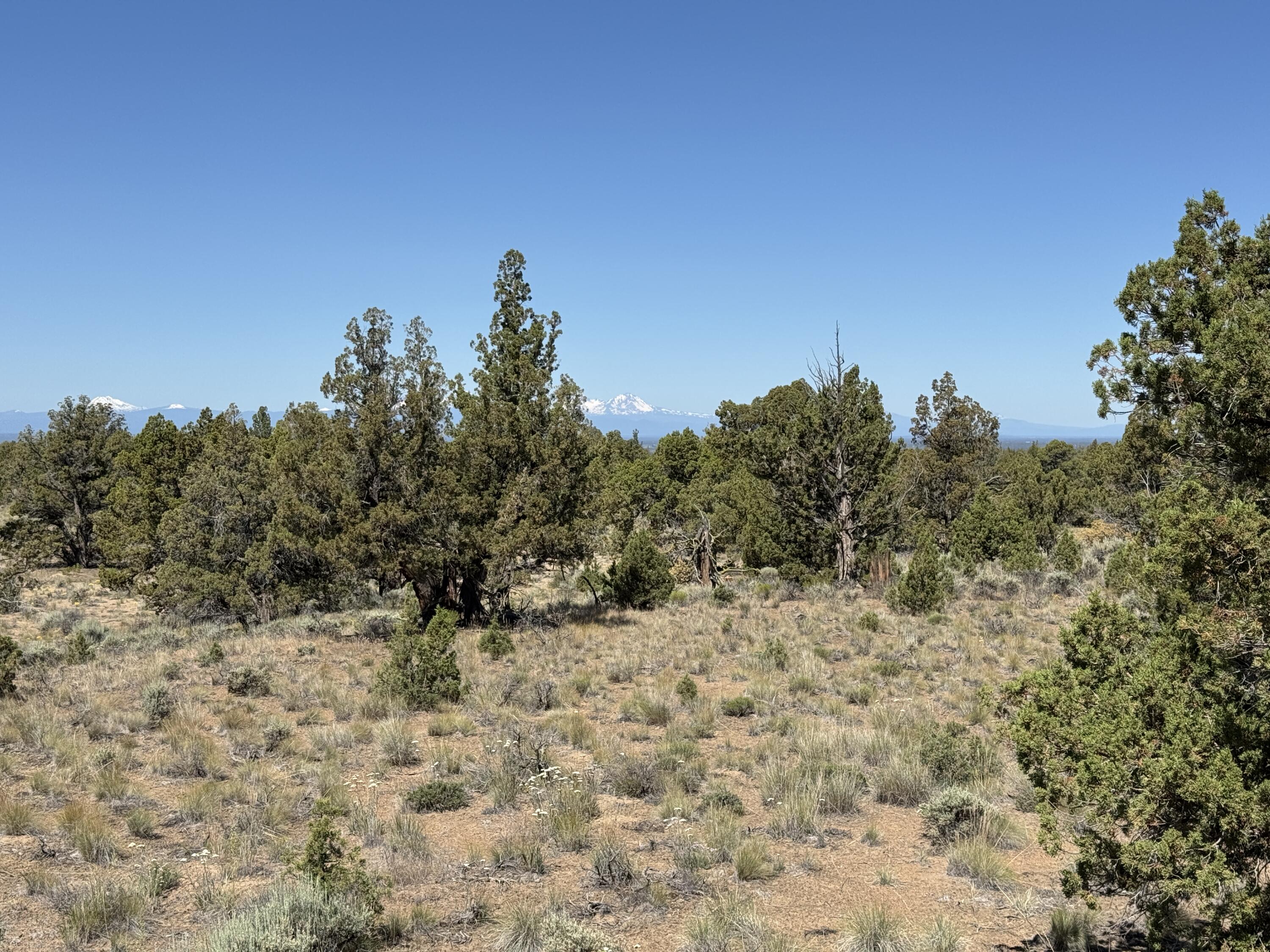 Juniper Acres - Land