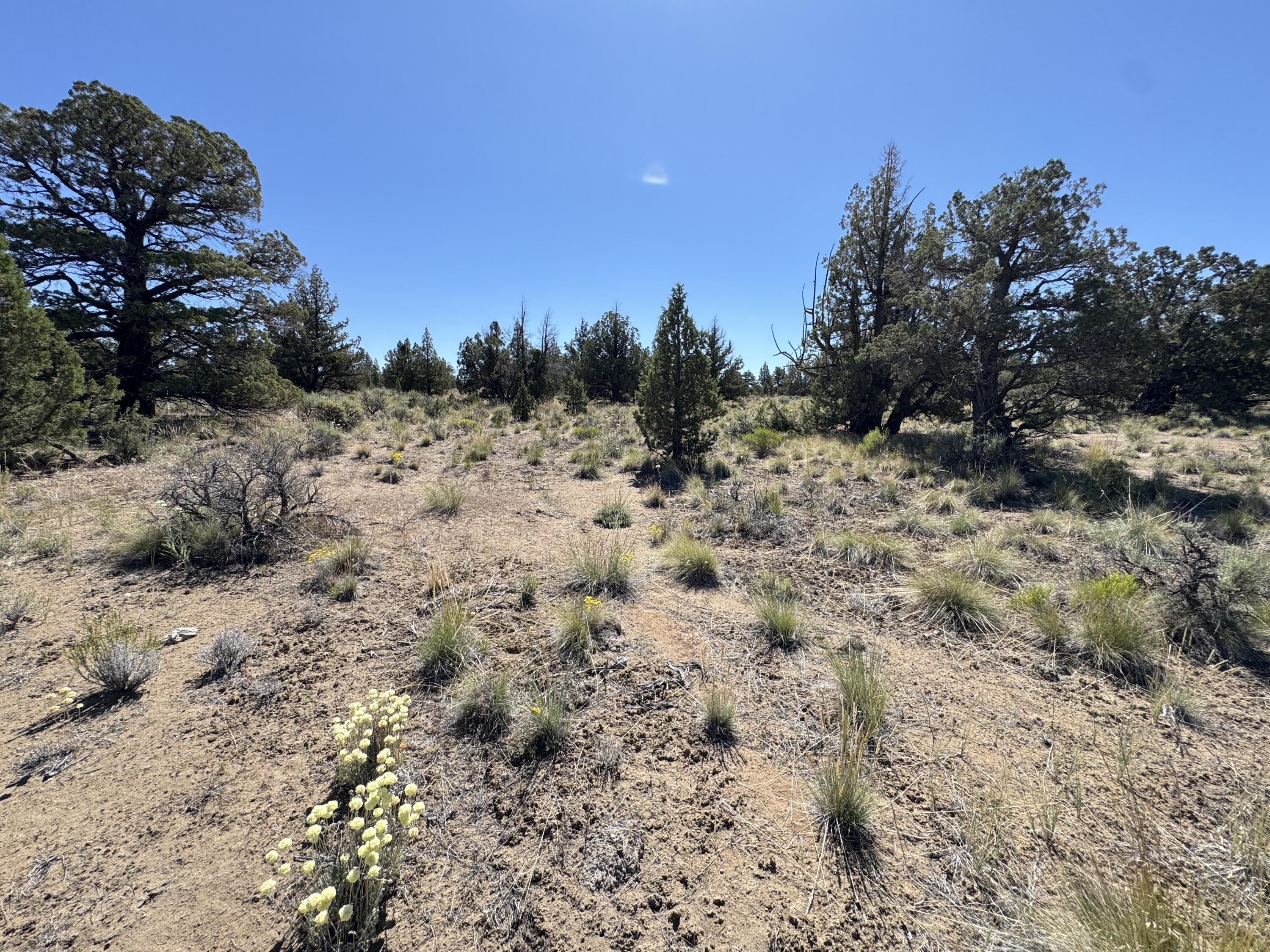 Juniper Acres - Land