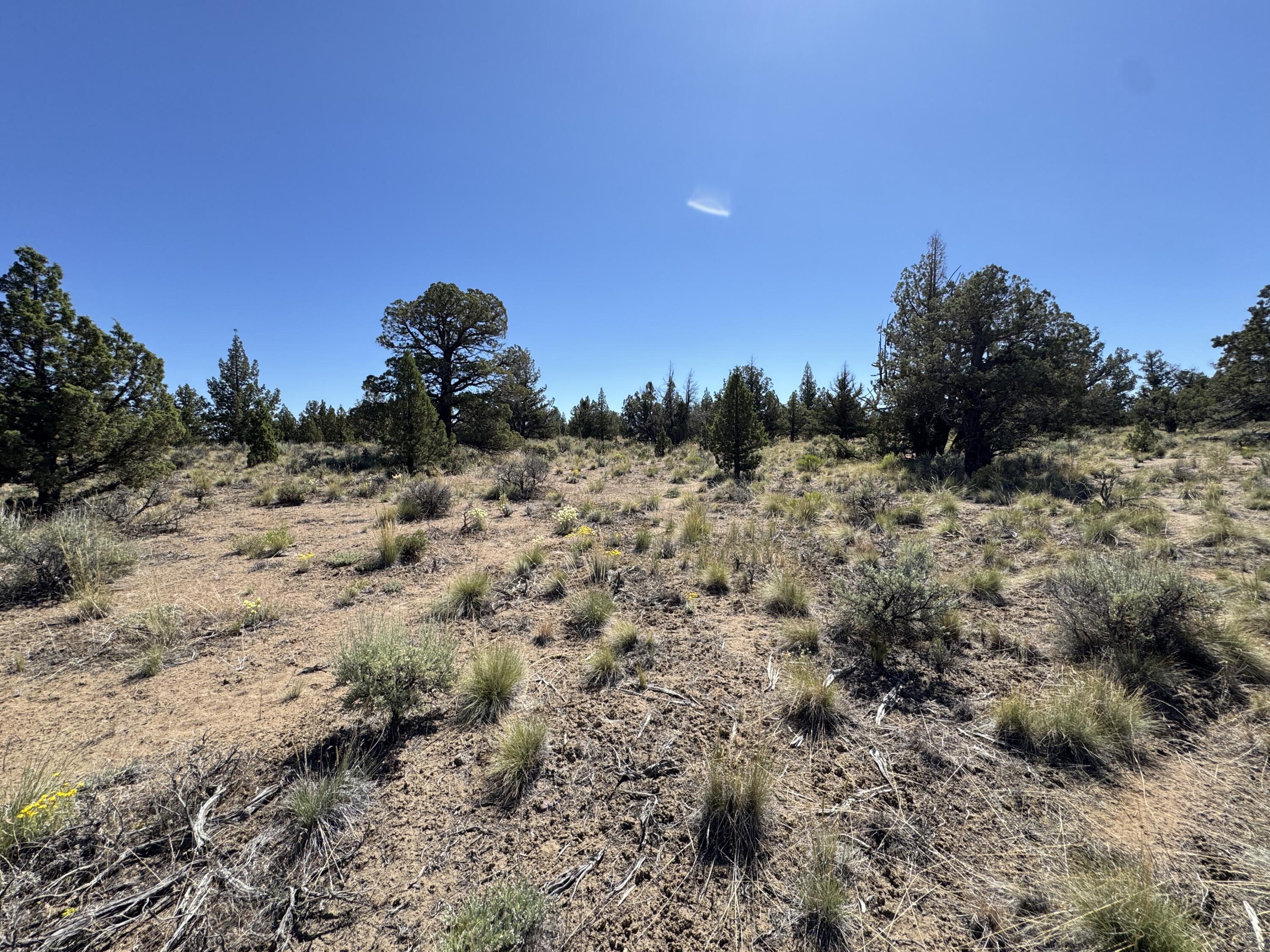 Juniper Acres - Land