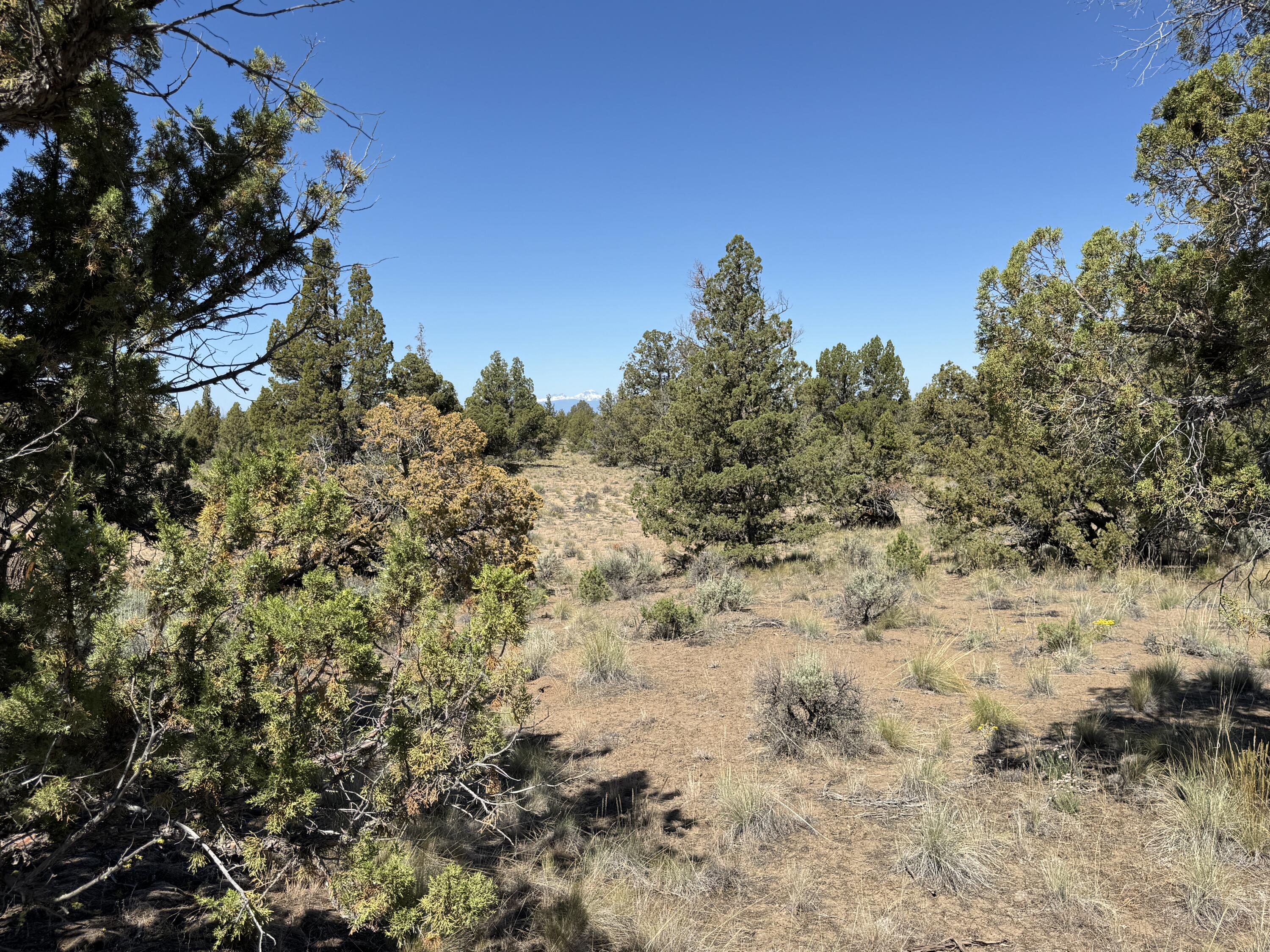 Juniper Acres - Land