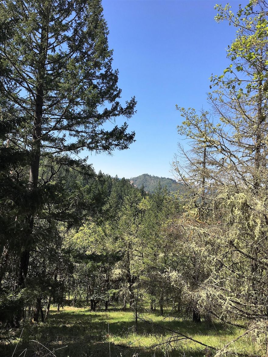 Priced to Sell! 7.51 acres w/ some level pasture & a nice mix of trees. Country with amazing views, septic approval and high producing well installed. Electricity installed to lower portion of property & zoned to choose the best area for your dream home. Convenient location to local store, restaurants & shops.