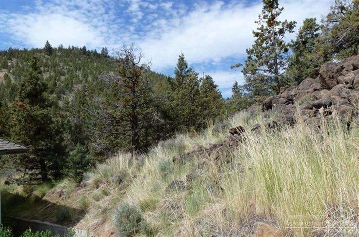 Pines At Pilot Butte - Residential Income