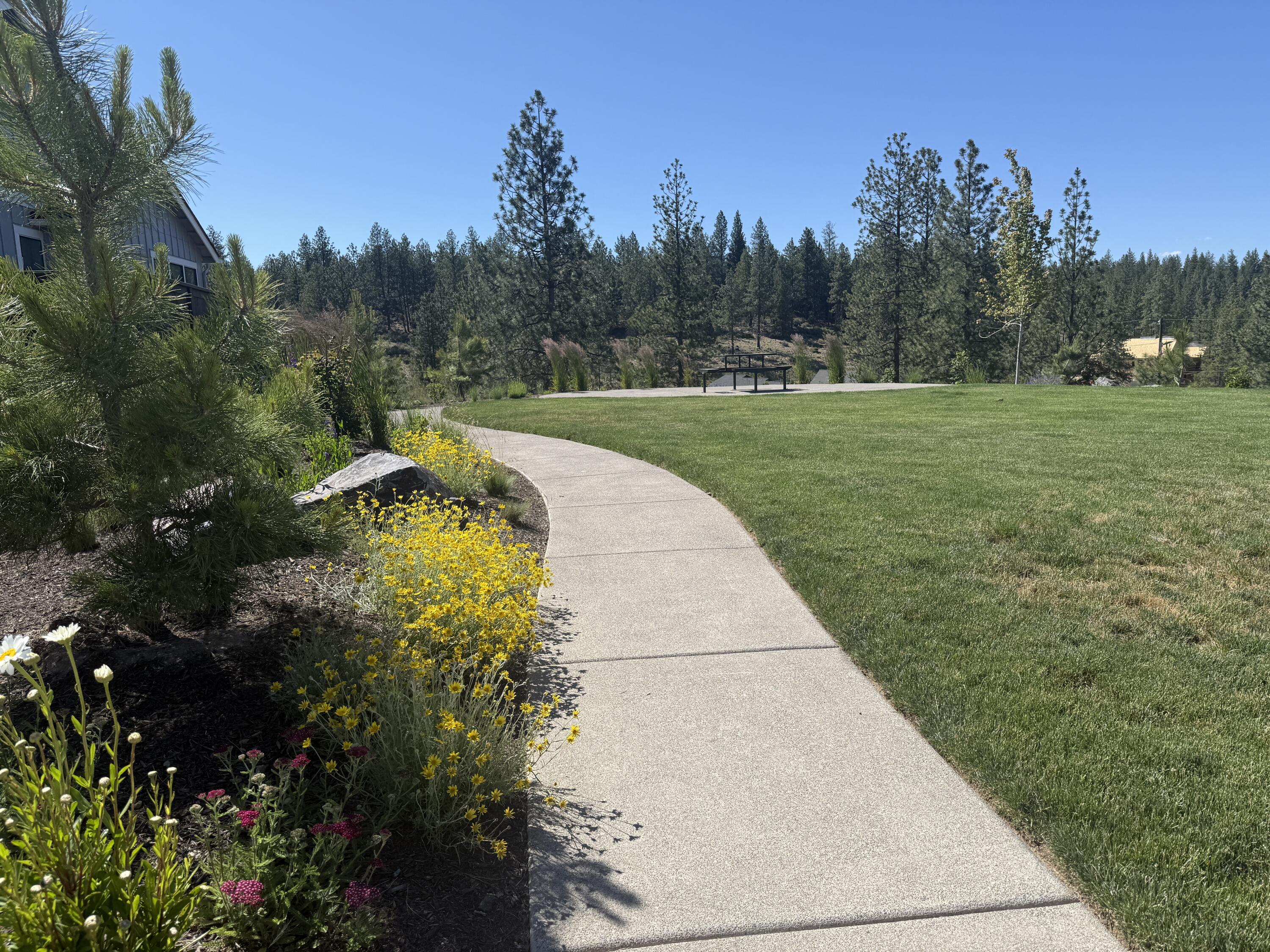 Collier - Residential