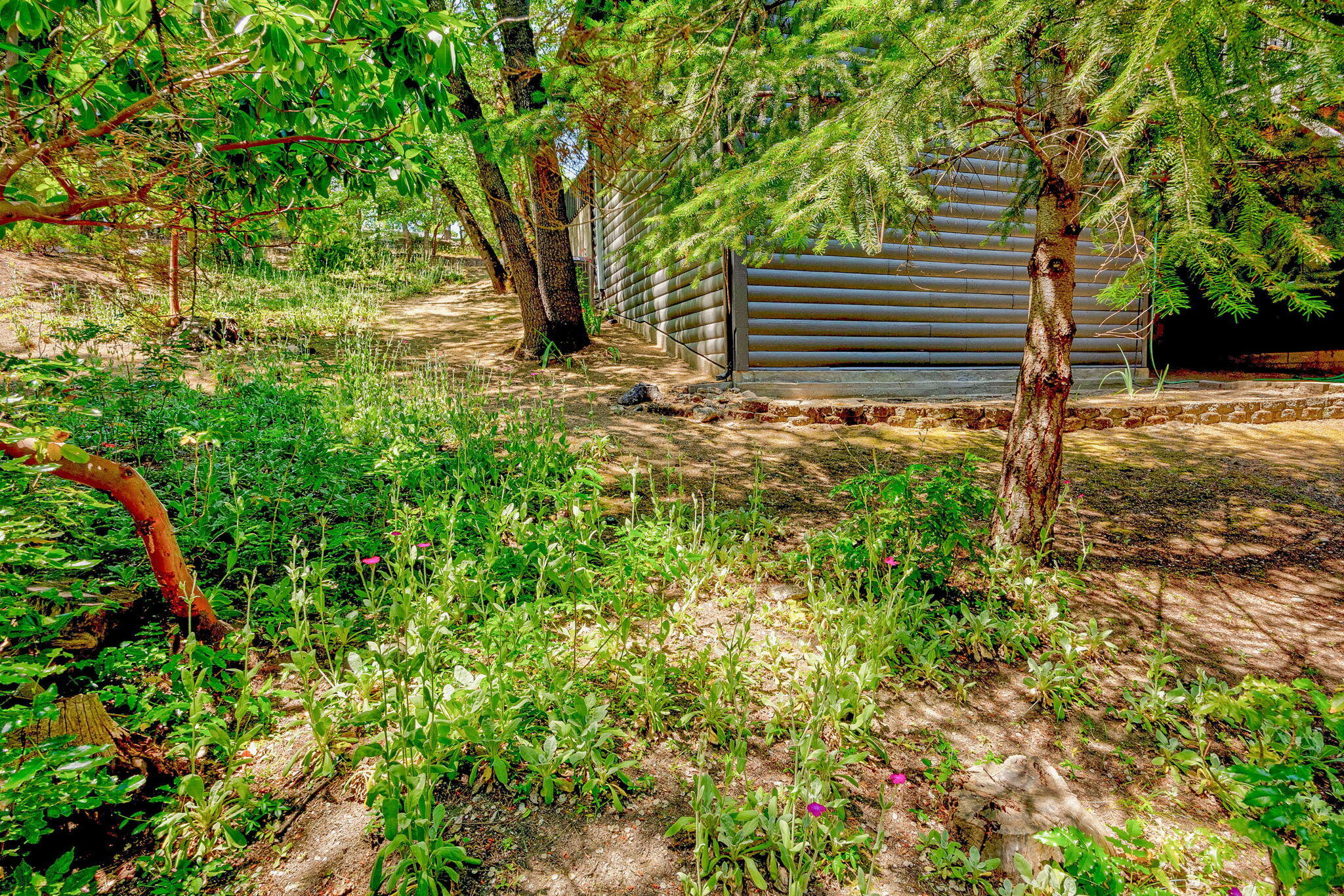 Casa Madrona Subdivision - Residential