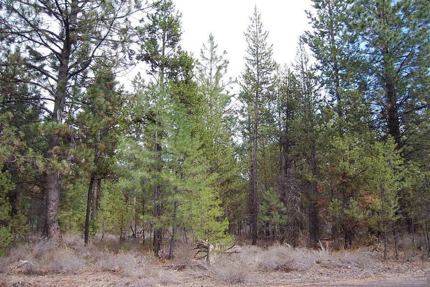 Build your new home in this quiet, forested neighborhood. A short walk to US Forest Service land, the Deschutes river and La Pine State Park.