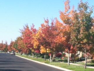 Canyon Rim Village - Residential