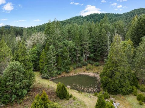 Tiny photo for 778 Pack Lane, Glendale, OR 97442 (MLS # 220217434)