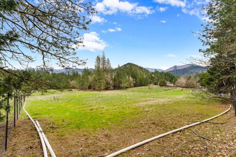 Tiny photo for 778 Pack Lane, Glendale, OR 97442 (MLS # 220217434)