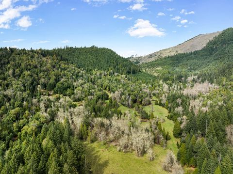 Tiny photo for 778 Pack Lane, Glendale, OR 97442 (MLS # 220217434)