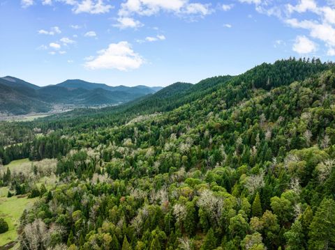 Tiny photo for 778 Pack Lane, Glendale, OR 97442 (MLS # 220217434)